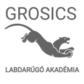 grosics labdarugó akadémia